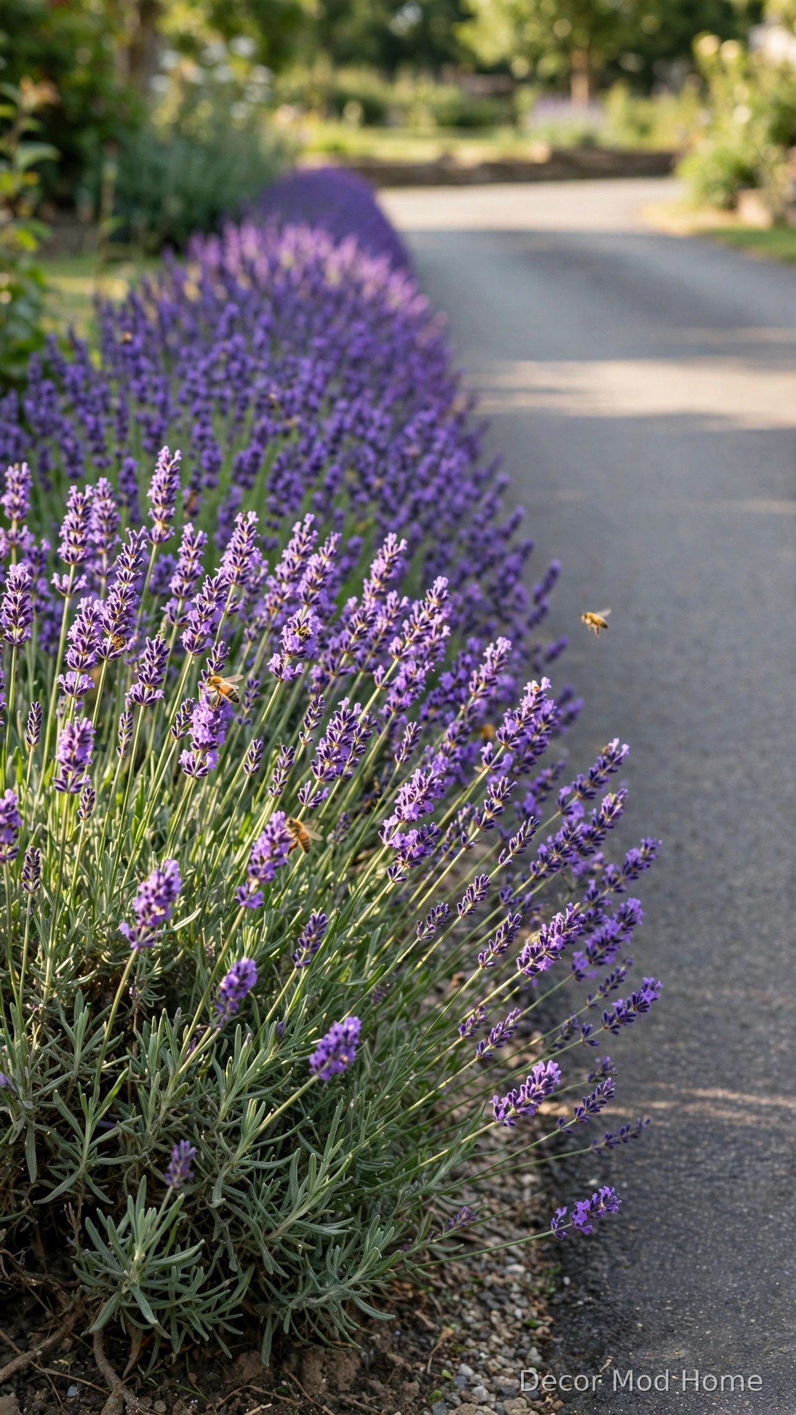 Plant a Ribbon of Ornamental Grasses
