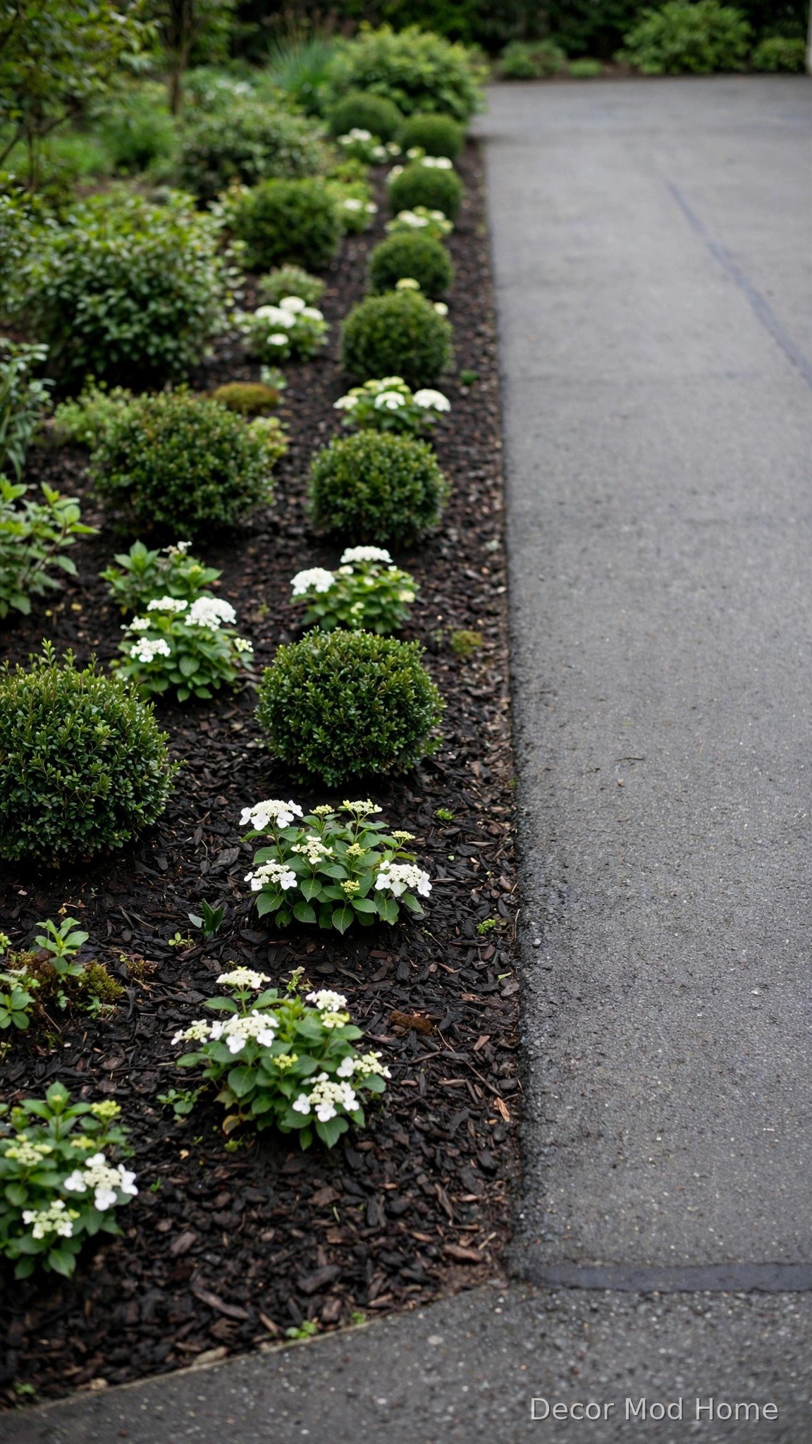 Clip a Low Hedge for Structure