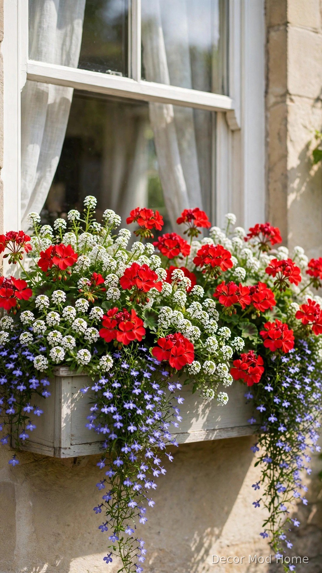 Window box overflowing with red geraniums, white alyssum and trailing lobelia